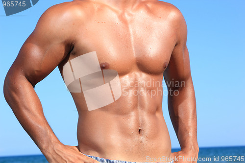 Image of sexy caucasian fit man