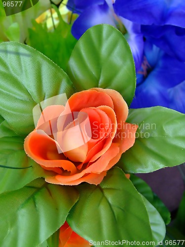 Image of Orange and blue flower