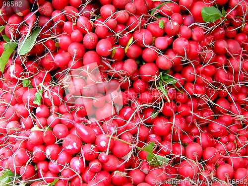 Image of Radish