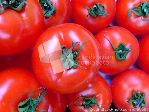 Image of Tomato 2