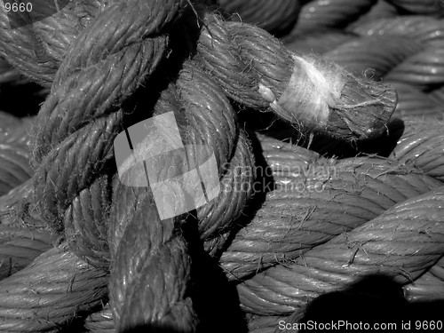 Image of Sailors rope (2)