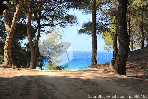 Image of Road by the sea 