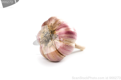 Image of head of garlic 