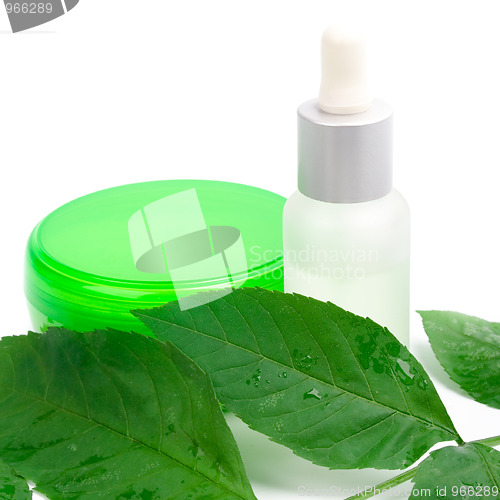 Image of cosmetic products with green leaf 