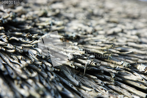 Image of Dry straw