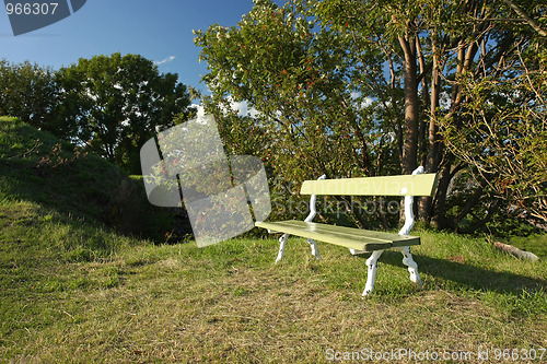 Image of empty bench
