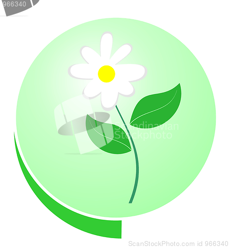 Image of Eco green button