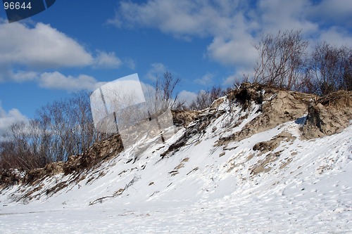 Image of Winter Scene