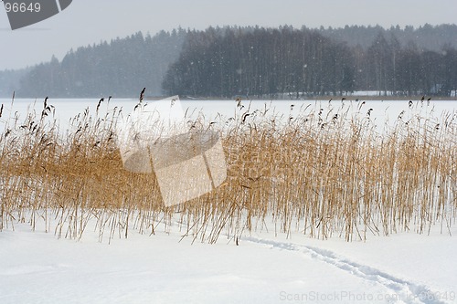 Image of Winter Scene