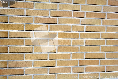 Image of Natural Background