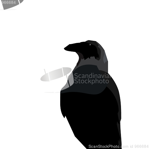 Image of Realistic illustraton of black raven