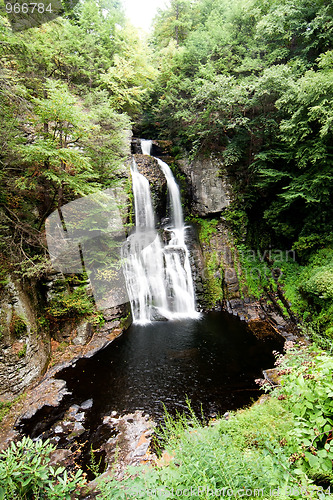 Image of Forest waterfall