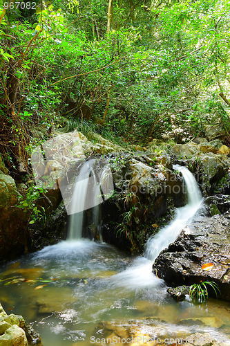 Image of stream in forest