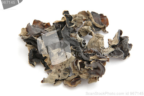 Image of black fungus