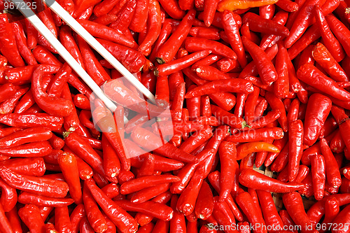 Image of red chili