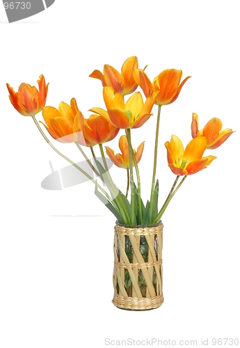 Image of Tulips