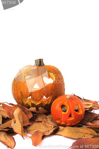 Image of halloween pumpkins