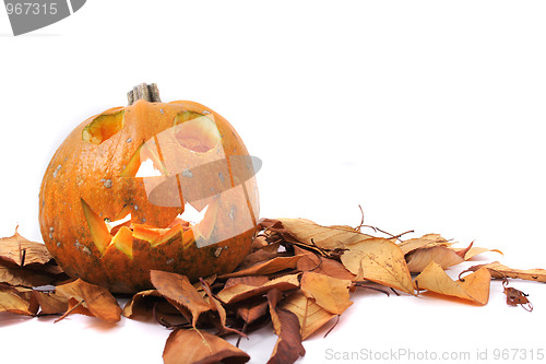 Image of halloween pumpkin