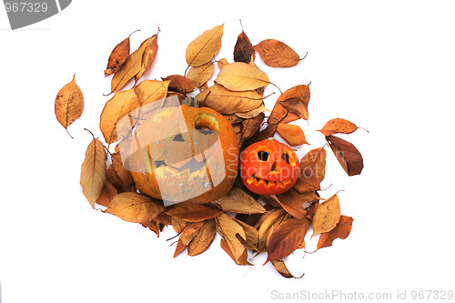 Image of halloween pumpkins