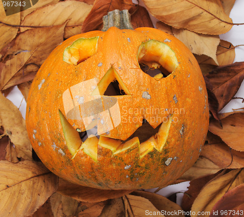 Image of halloween pumpkin