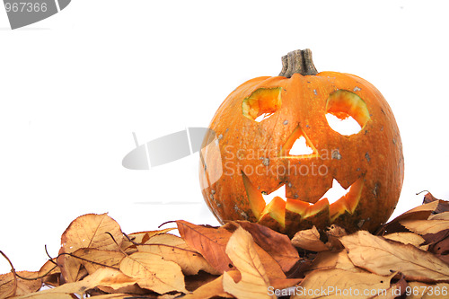 Image of halloween pumpkin