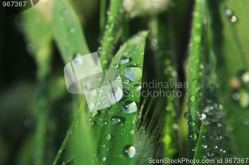Image of  