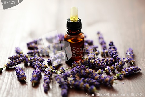 Image of lavender massage oil