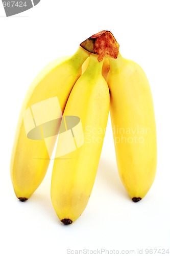 Image of banana bunch