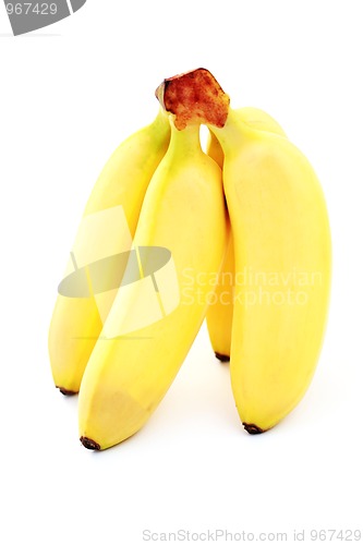 Image of banana bunch