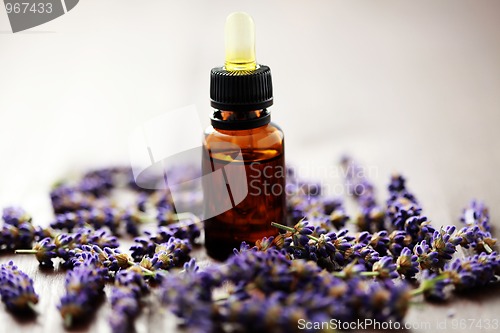 Image of lavender massage oil