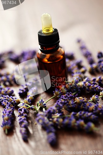 Image of lavender massage oil