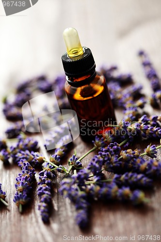 Image of lavender massage oil