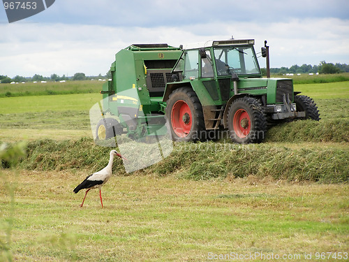 Image of Hay gathering 3