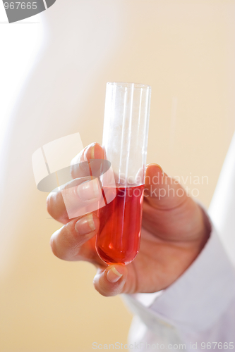 Image of Red liquid in test-tube