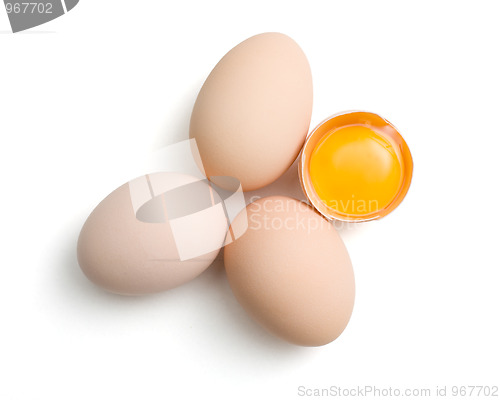 Image of Eggs on white