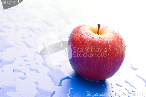 Image of One wet red apple