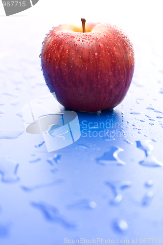 Image of One wet red apple