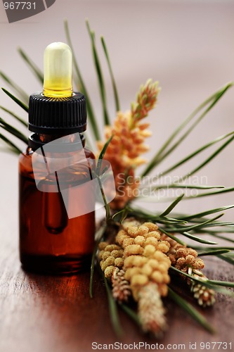 Image of fir tree essential oil