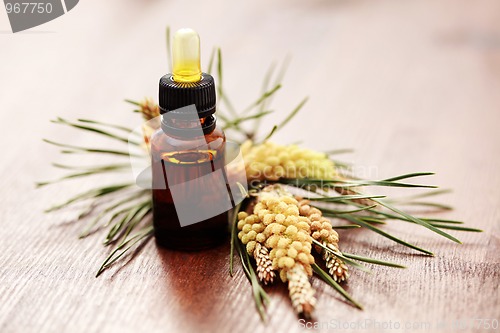 Image of fir tree essential oil
