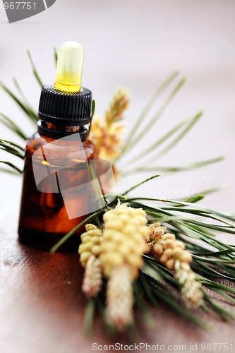 Image of fir tree essential oil