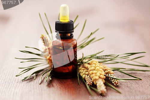 Image of fir tree essential oil