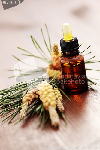 Image of fir tree essential oil