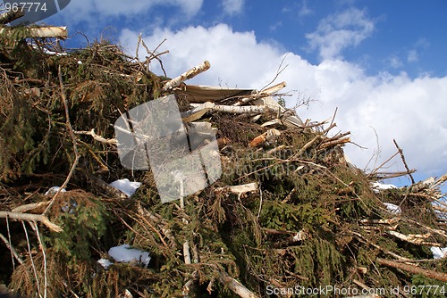 Image of Wood for Power and Energy