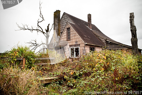 Image of abandoned overgrown house