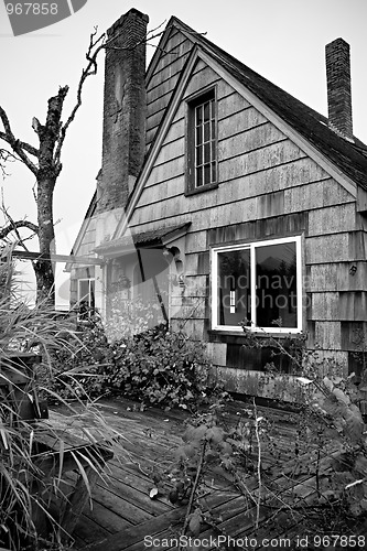 Image of Abandoned overgrown house