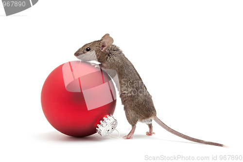 Image of Christmas mouse and bauble isolated