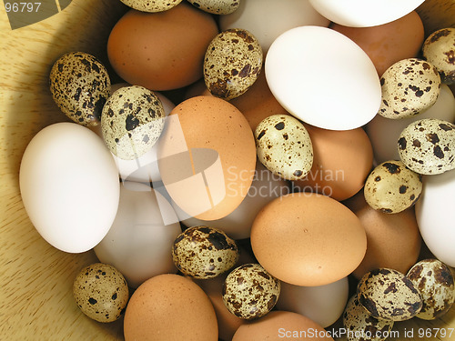 Image of eggs