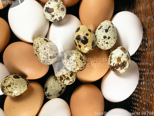 Image of eggs