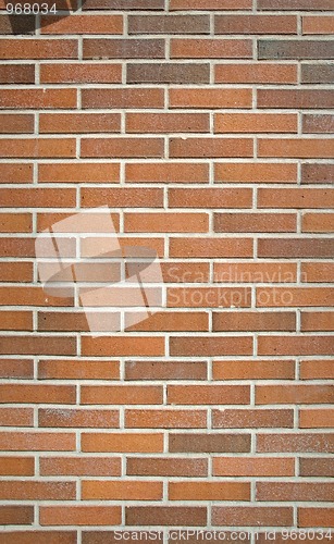 Image of brick wall texture