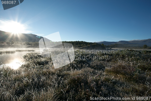 Image of Early morning